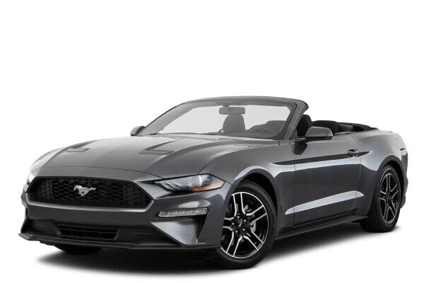 Взять на прокат Кабриолет Ford Mustang  Cabrio Gray  